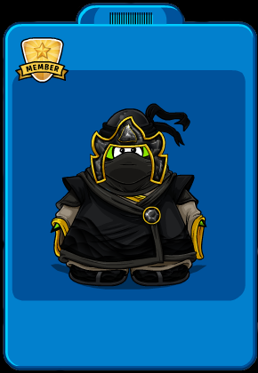 El Futuro Ninja de Sombra. O será de Tierra?